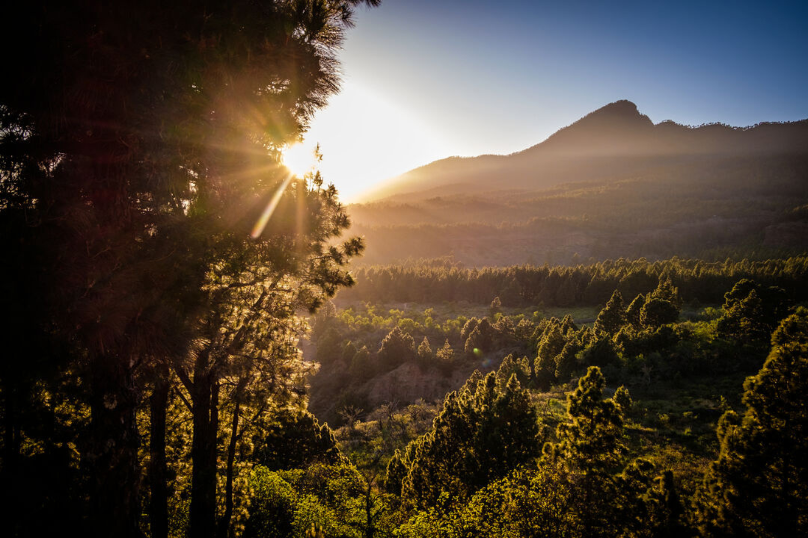 20% off Classic Drinks Package + Onboard Spending Money