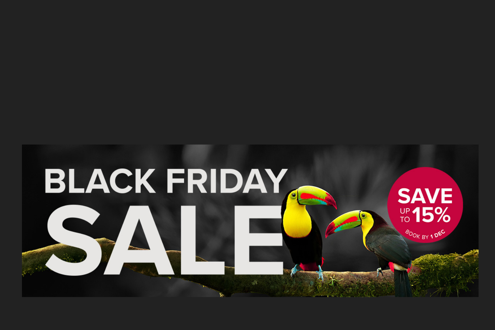 BLACK FRIDAY SALE - Save up to 15%