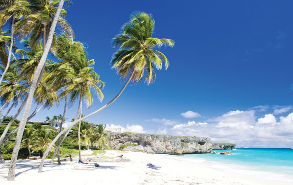 To book simply call 0800 009 6688