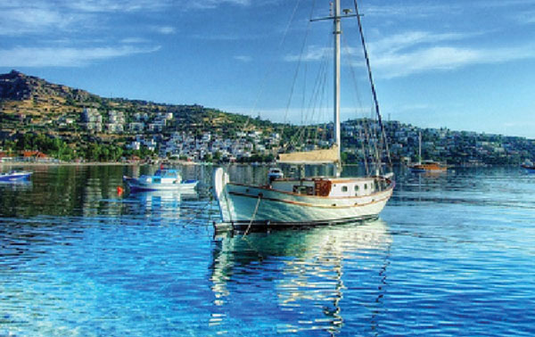 To book simply call 0800 009 6688