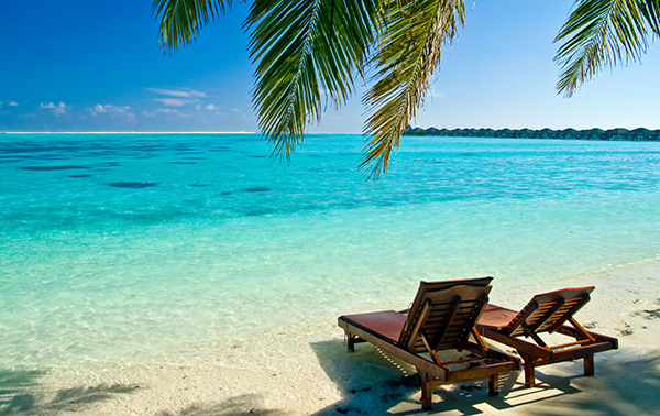 To book simply call 0800 009 6688